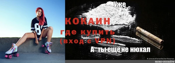 стаф Верея