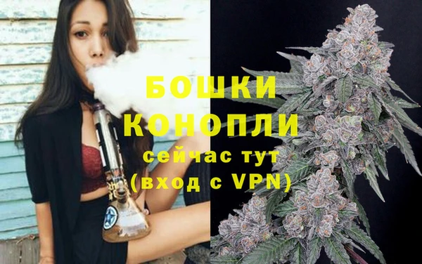 стаф Верея
