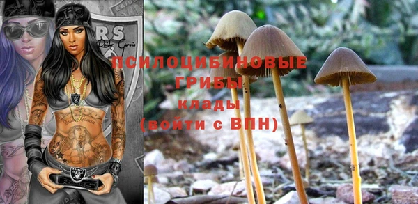 тгк Верхнеуральск