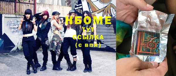 стаф Верея
