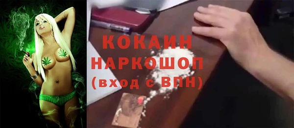 стаф Верея