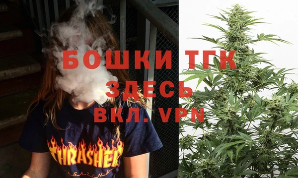 стаф Верея