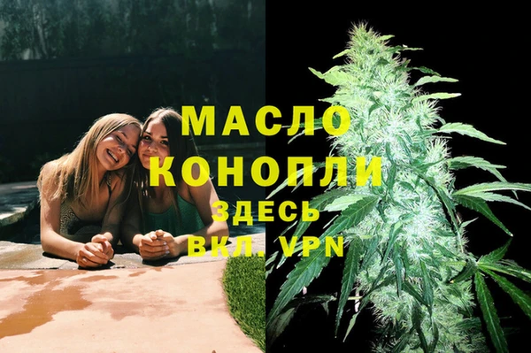 стаф Верея