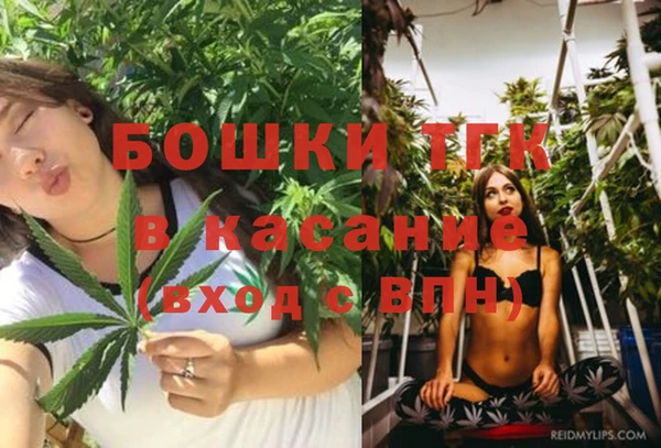 стаф Верея