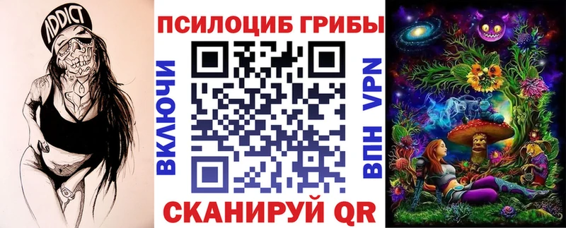 наркота  Горбатов  Псилоцибиновые грибы Psilocybine cubensis 