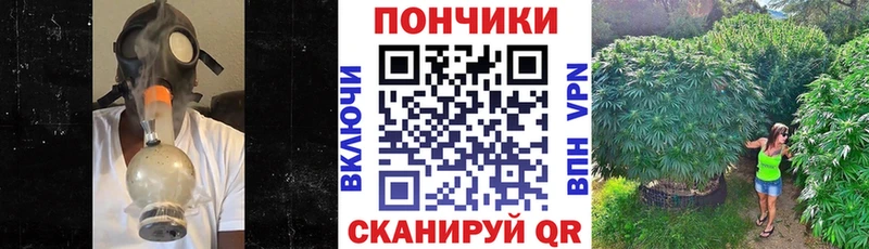Канабис гибрид Горбатов